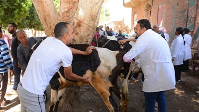 جامعة أسيوط تطلق قافلة بيطرية شاملة إلى قرية بهيج.. ضمن مبادرة رئيس الجمهورية 