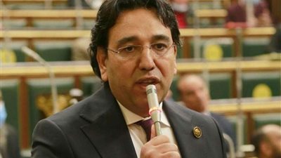 برلماني: مجلس النواب يثمن دور الرئيس لحماية الأمن القومي