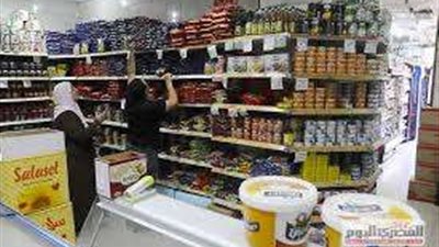 خبير اقتصادي: التحول إلى الدعم النقدي يعزز الكفاءة ويقلل الأسعار