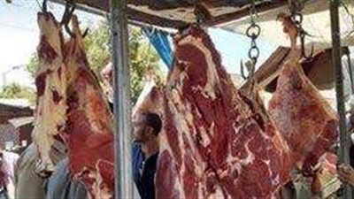 مبادرة حياة كريمة لتوفير اللحوم والدواجن بأسعار مخفضة تبدأ في أربع محافظات لتخفيف الأعباء عن المواطنينط