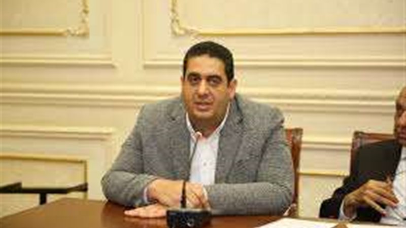 النائب وليد التمامى