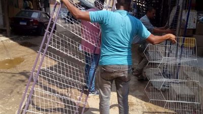 رفع 35 حالة اشغال ثابتة و متحركة بشوارع مدينة بدر