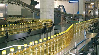 الشافعي : الحكومة تستهدف التوسع في زراعة المحاصيل الزيتية للاكتفاء الذاتى من الزيوت