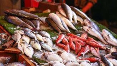 البلطي بـ 78جنيهًا ..أسعار الأسماك والجمبري اليوم الأحد 6-10-2024