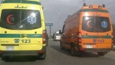 الضحايا كانوا في طريقهم لعيادة طبيب بالبدرشين..التفاصيل الكاملة لسقوط سيارة بترعة المريوطية