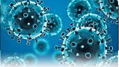 بعد فيروس كورونا.. هل هناك جائحة جديدة؟