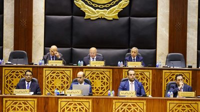 كامل الوزير يستعرض أمام المجلس خطة تطوير الصناعة المصرية