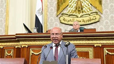 الوزير: لا يوجد في مصر مصنع واحد لإنتاج الفويل ويتم استهلاكة بتكلفة تصل إلى 140 مليون دولار سنويا