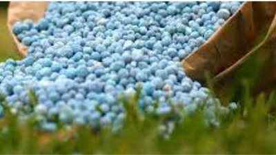 رئيس قطاع خدمات الزراعة: أسعار الأسمدة كما هي دون أى زيادة