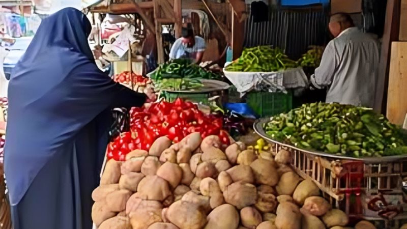 حمرا يا قوطه وبـ