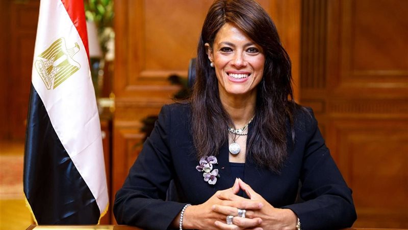 وزيرة الاستثمار