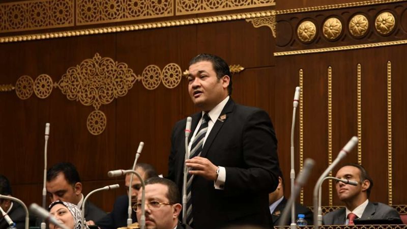 النائب محمد عمارة
