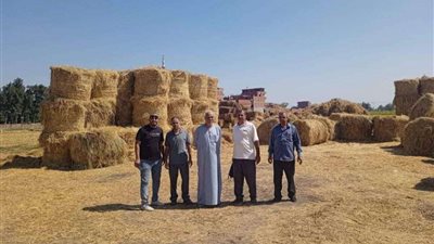 جهود مكثفة لدعم القطاع الزراعي وتوعية المزارعين في الشرقية