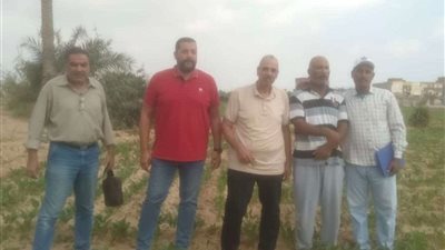 ندوة زراعية حول بنجر السكر بمريوط لتعزيز الإنتاجية