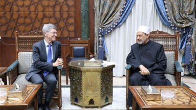 شيخ الأزهر والبروفيسور جيفري ساكس لأمريكا: أوقفوا العدوان على غزة ولبنان