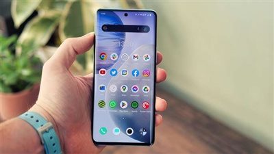 عالم أزهري يحذر من فعل منتشر على مواقع التواصل الاجتماعي