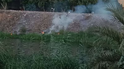 محافظ أسيوط يوجه باتخاذ الإجراءات القانونية حيال حارقي المخلفات الزراعية