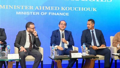 وزير المالية: الإصلاحات الاقتصادية مستمرة لتدعيم الاستقرار وتعزيز مشاركة القطاع الخاص