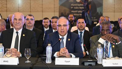 هاني سويلم:مصر مستمرة في قيادة المسار الإفريقي بشأن قضايا المياه