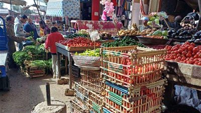 تحديات سوق الخضروات في مصر.. خبراء يكشفون استراتيجية مواجهة ارتفاع الأسعار