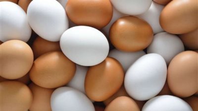 الزراعة تواصل ضخ كميات كبيرة من البيض والمنافذ المتنقلة بسعر  150 جنيهًا للكرتونة