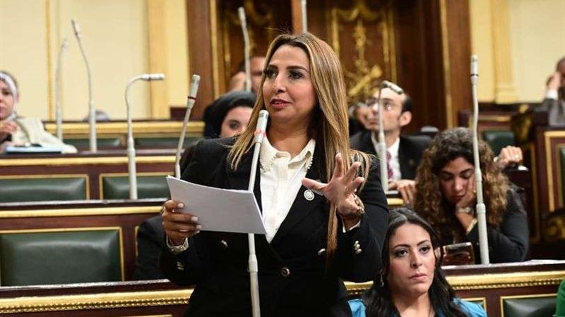 النائبة نشوى الشريف