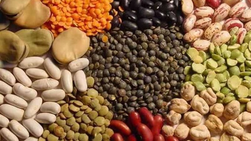 البقوليات