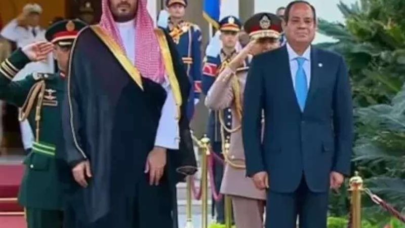 الرئيس السيسي وولي