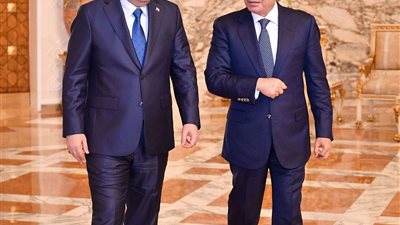 الحسناوي:تواصل مصري عراقي لتعزيز المواقف السياسية في إطار العمل العربي المشترك