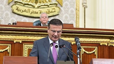 وزير الزراعة يستعرض إجراءات تعزيز الأمن الغذائي وتحقيق التنمية المستدامة أمام مجلس النواب