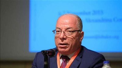 النمنم: استياء عالمي من انتهاكات الاحتلال الإسرائيلي في غزة وجنوب لبنان