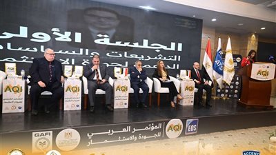 داليا الهواري: استراتيجية وطنية لجذب الاستثمار الأجنبي لمصر