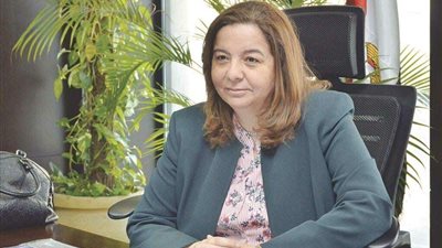 مي عبد الحميد: الأدوار الأرضية لـ أصحاب الإعاقة البصرية والحركية