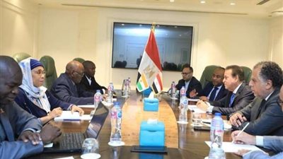 تفاصيل لقاء وزير الصحة نظيره بالنيجر