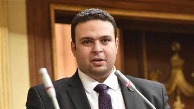 النائب عبدالمنعم إمام: نظام الانتخابات يجب أن يعكس العلاقة بين المواطن والدولة
