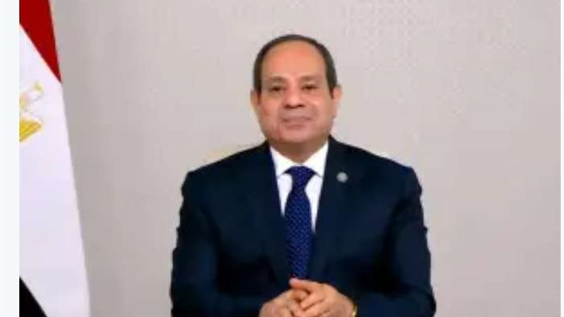 الرئيس السيسى