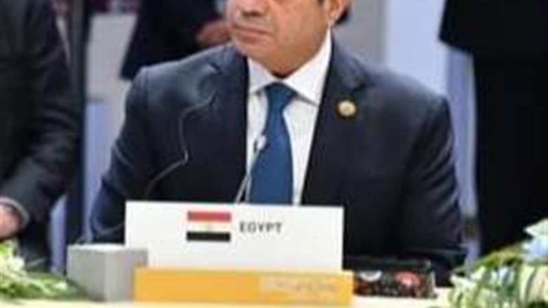 الرئيس عبدالفتاح