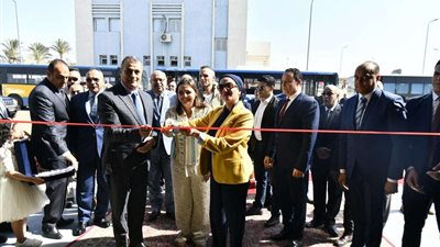 تنفيذ أول خط صناعى لتدوير ألياف الموز لإنتاج عبوات كرتونية صديقة للبيئة