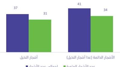 37 مليون نخلة في السعودية، وكميات إنتاج التمور تقترب من الـ 2 مليون طن