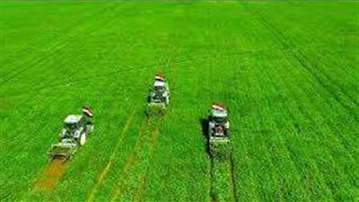 طفرة غير مسبوقة.. زراعة حوالي 4 مليون فدان بالصحراء