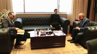 وزير الكهرباء وسفيرة قبرص يبحثان تعزيز الربط الكهربائي وتوسيع الاستثمارات المتجددة