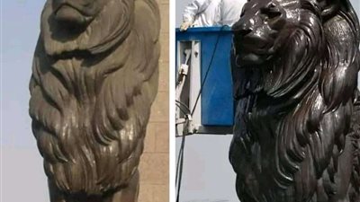 أسدين قصر النيل في عزاء.. المصريون يتساءلون: من المسؤول عن هذا الحداد؟ | صور