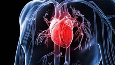 دراسة جديدة تفتح آفاق العلاج الشخصي لمخاطر القلب والأوعية الدموية