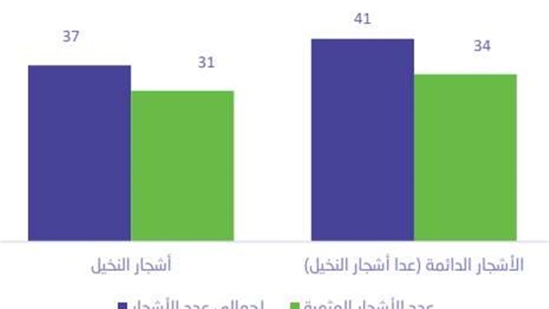 عدد أشجار النخيل