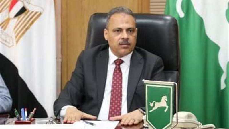 محافظ الشرقية