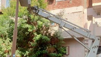 صيانة خطوط الإنارة العامة وكشافات الإنارة ببدر ( صور)