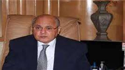 رئيس حزب الغد: محاولات تشويه النظام المصري لن تنجح وموقفنا من القضية الفلسطينية ثابت