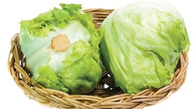 تلف الخس والكرنب بالديدان..نقيب الفلاحين يكشف التفاصيل