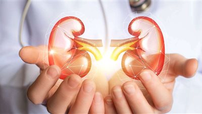 أطعمة وعادات يجب تجنبها للحفاظ على صحة الكلى والوقاية من الأمراض المزمنة