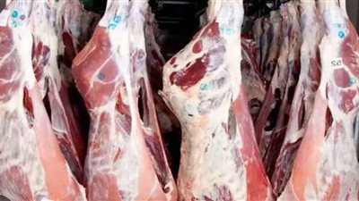 أسعارها تراجعت .. تعرف على أسعار اللحوم اليوم الجمعة 1 نوفمبر